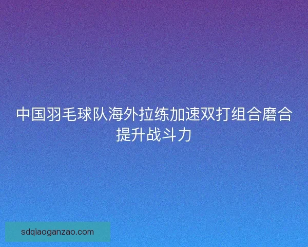中国羽毛球队海外拉练加速双打组合磨合提升战斗力